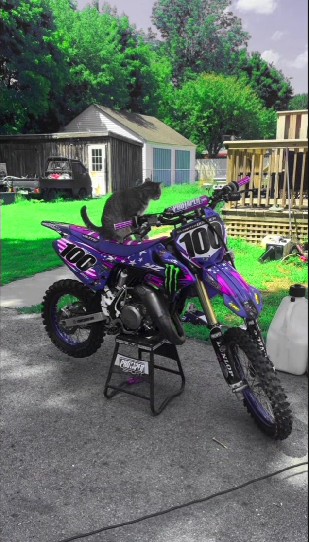 @fasty100
