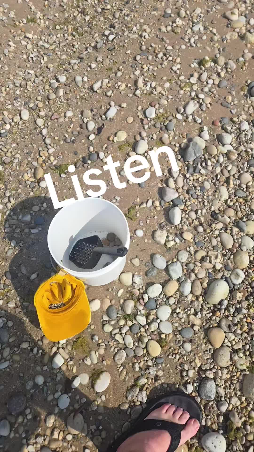 @KP 🌻