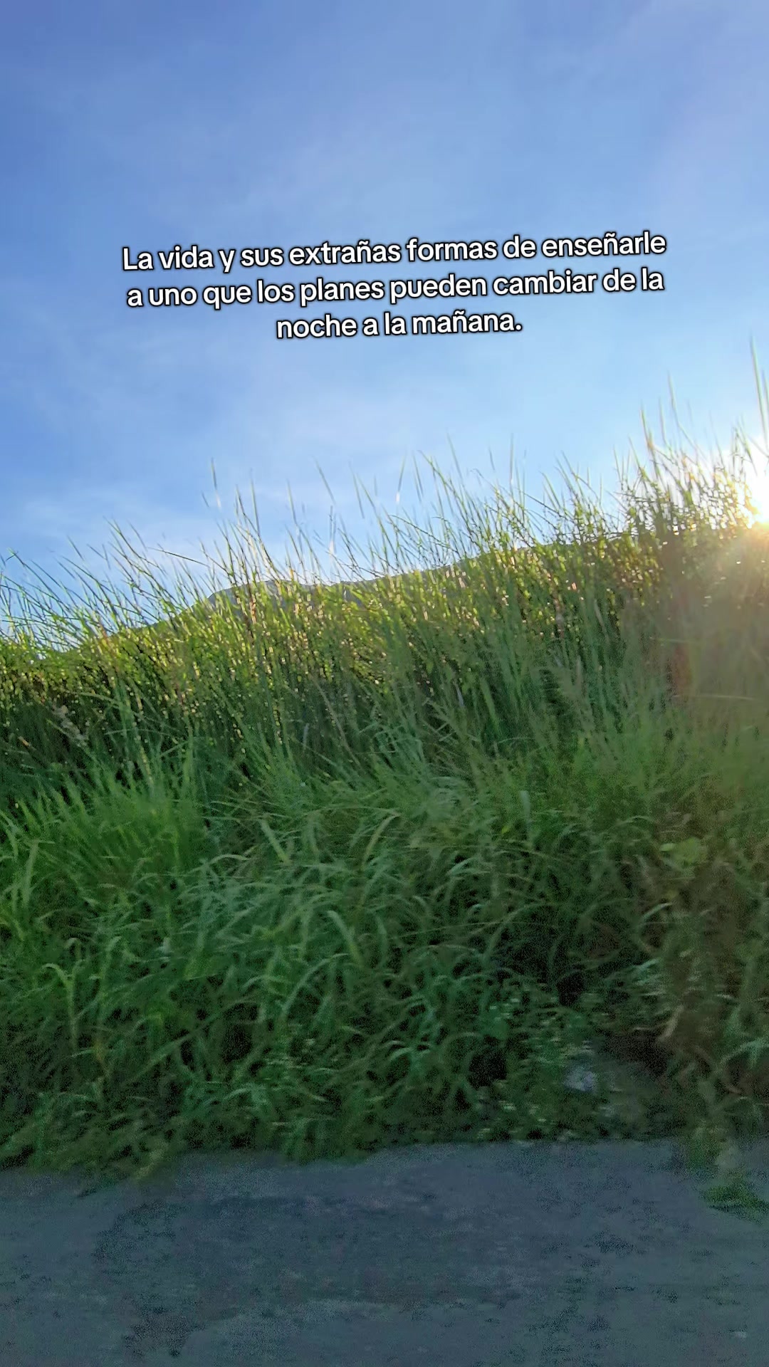 @𝓐𝓛𝓘𝓓𝓐