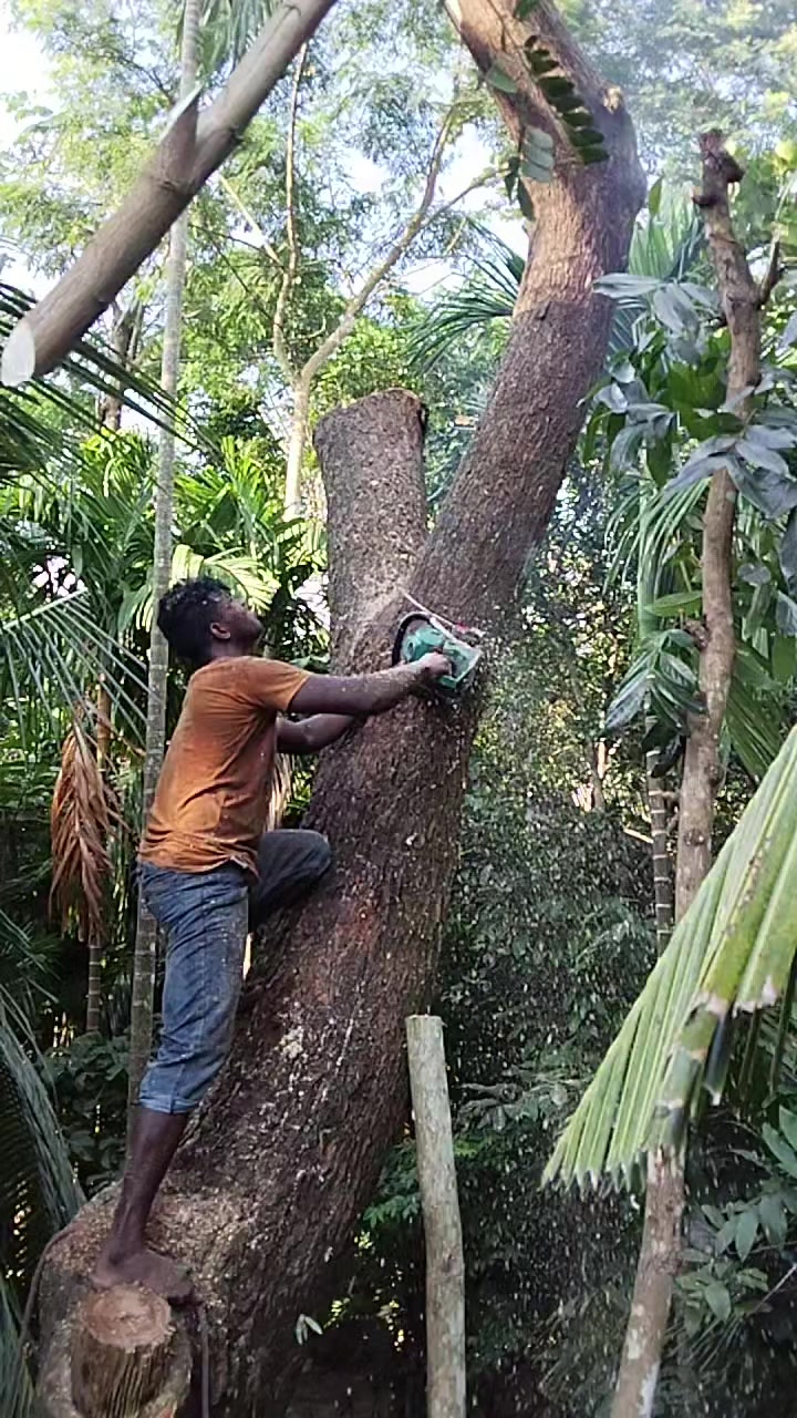 @যশোরের পোলা
