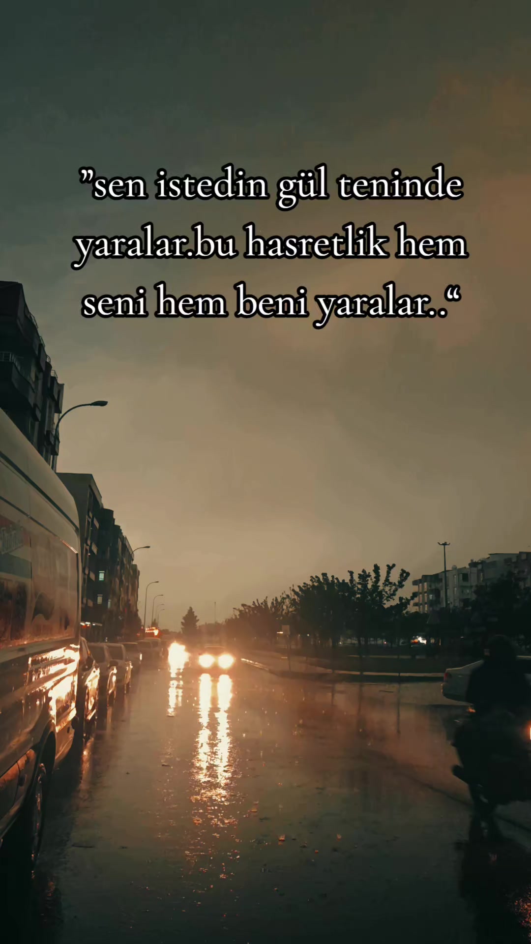 @❤️🩹🕊️