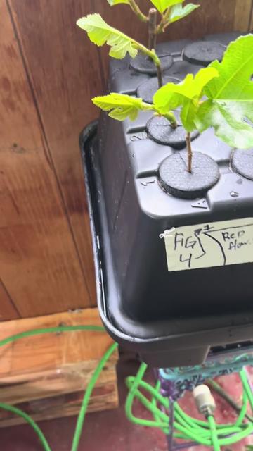 @Bakedgardening