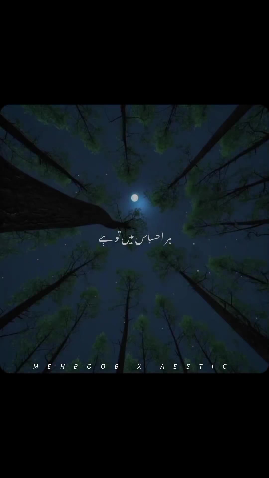 @𝙈𝙀𝙃𝘽𝙊𝙊𝘽 𝘼𝙀𝙎𝙏𝙄𝘾/-