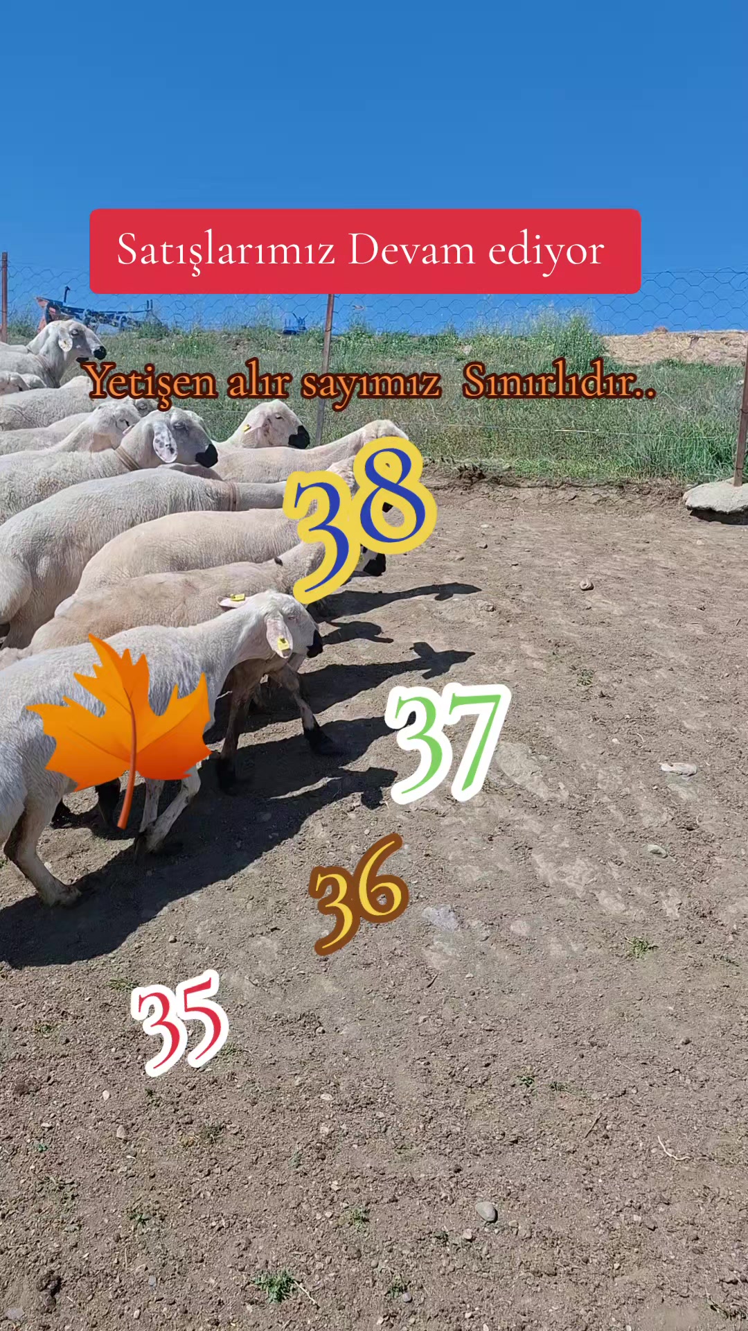 @✎﹏﹏𝐾𝑎𝑑𝑖𝑟 Ş𝑎ℎ&icirc;𝑛﹏﹏