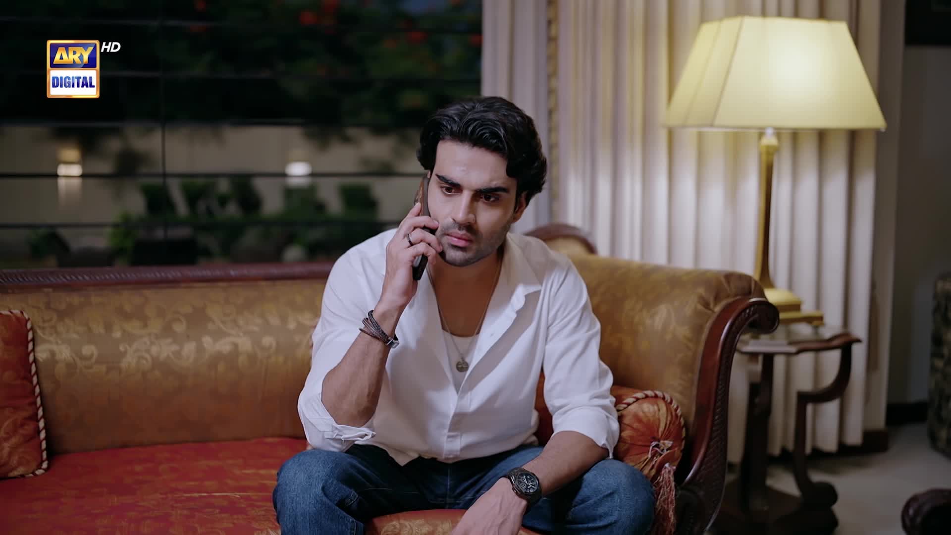 @ARY DIGITAL