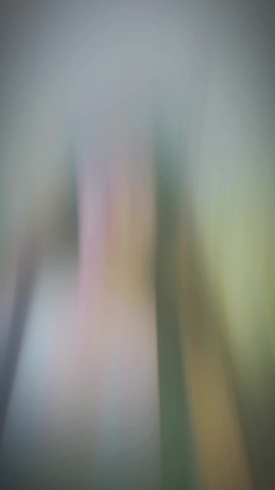 @shaPrin.xess
