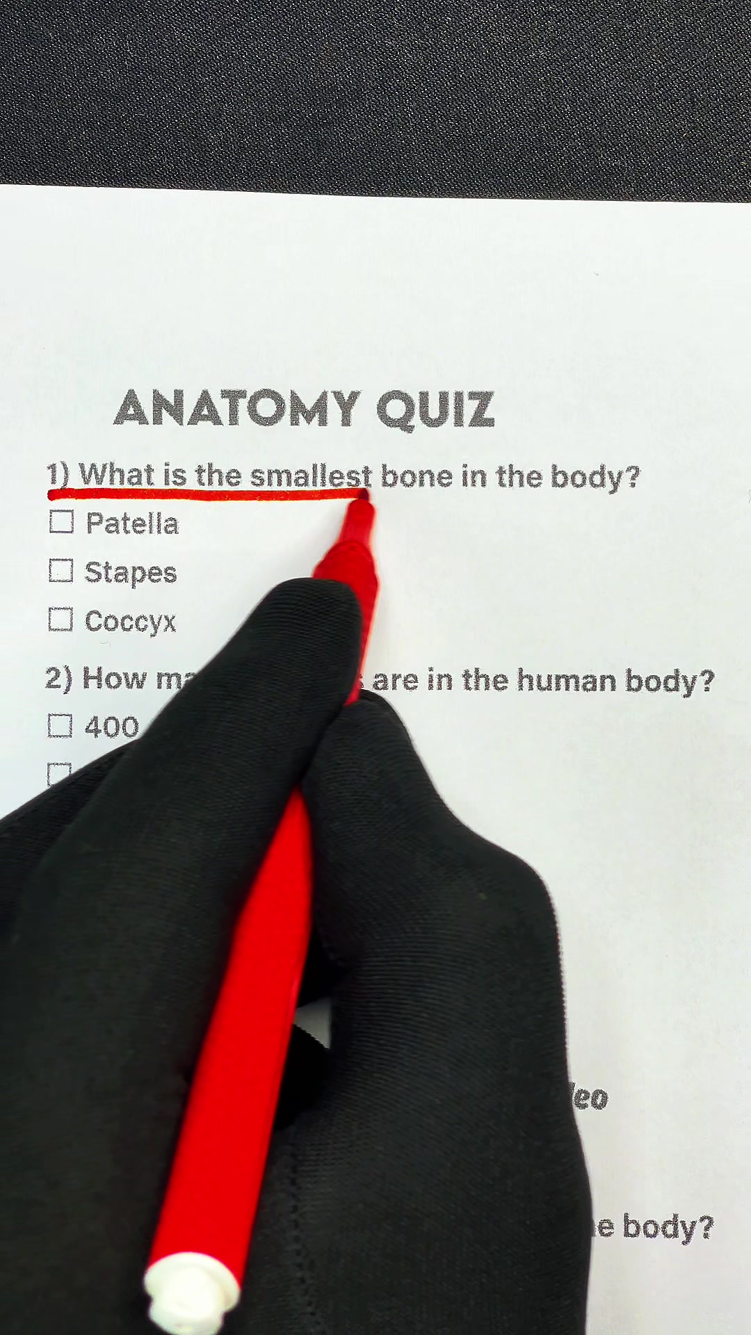 @Quizlax (Check bio)