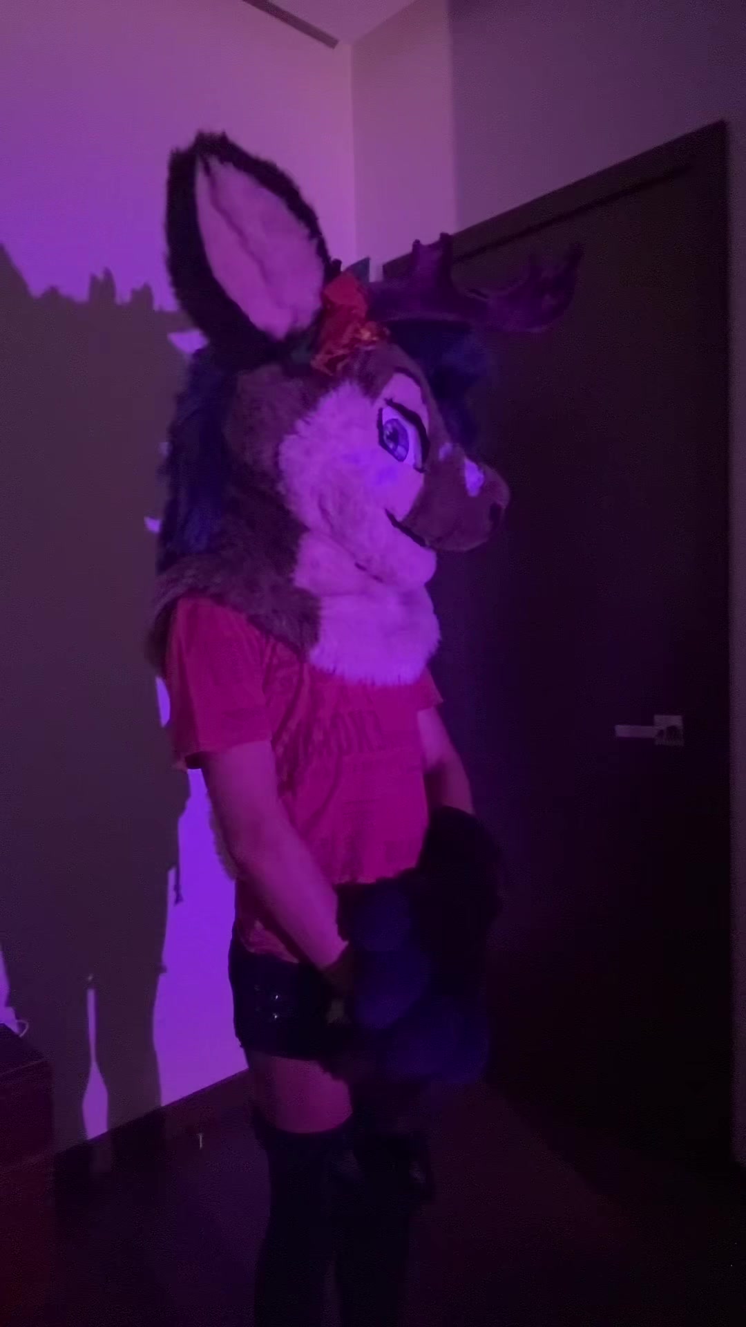 @Riley :3