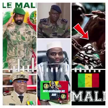 @ROI GUÉPARD N°1 223 🇲🇱