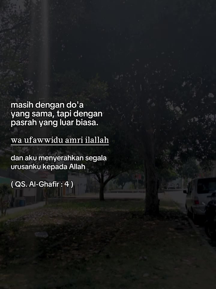 @Qiky sn