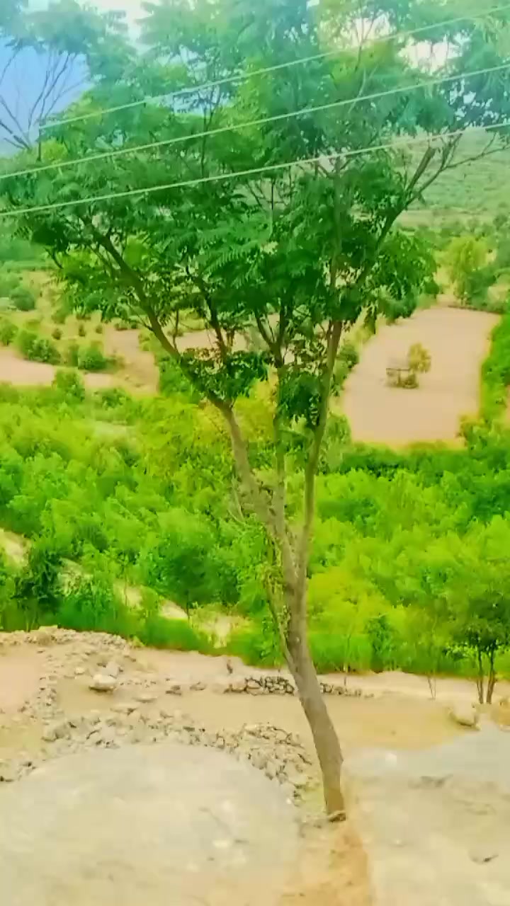 @قیدی نمبر 804✌️💪