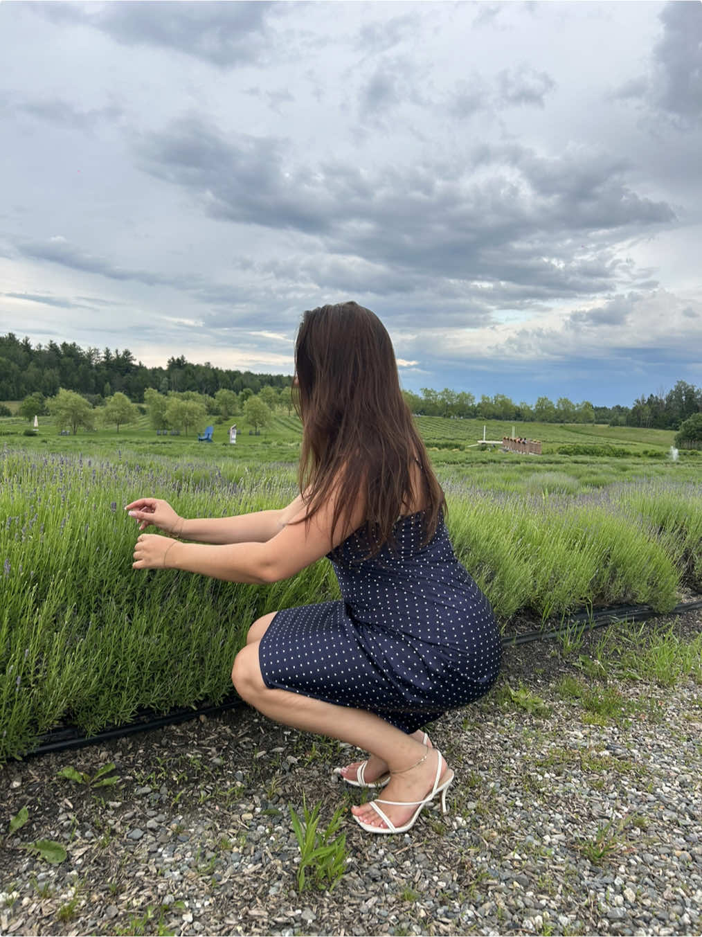 @Arianne Auclair