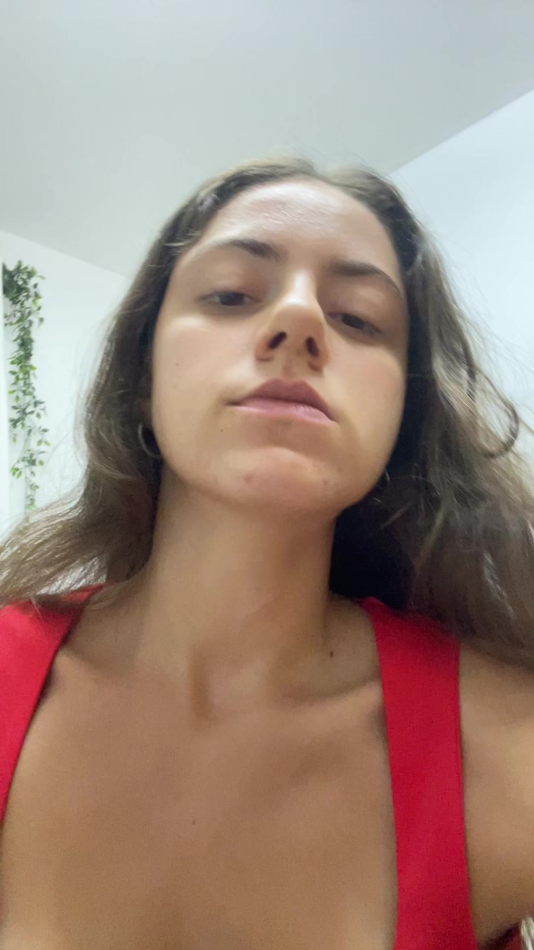 @galit_352004