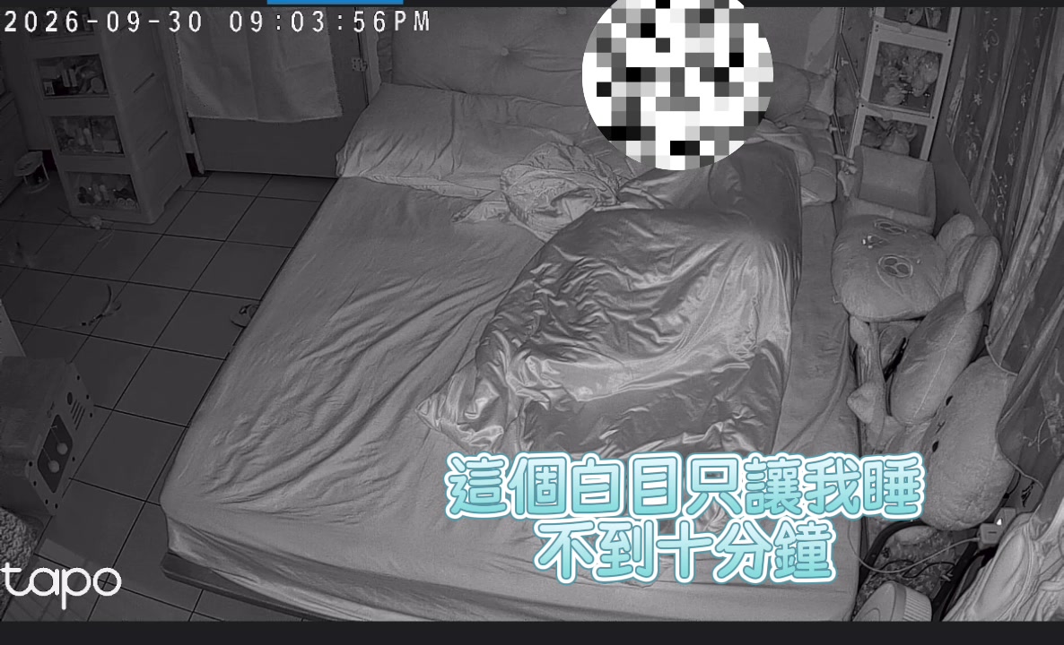 @王米米