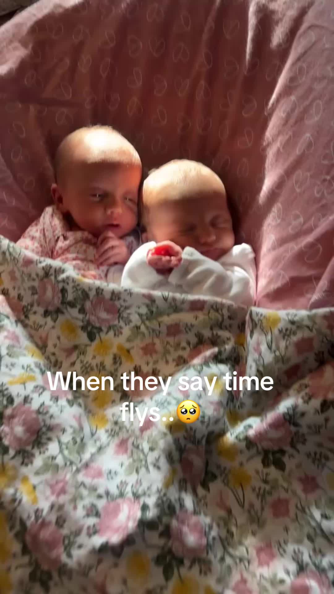 @Anna🌸🎀🩷