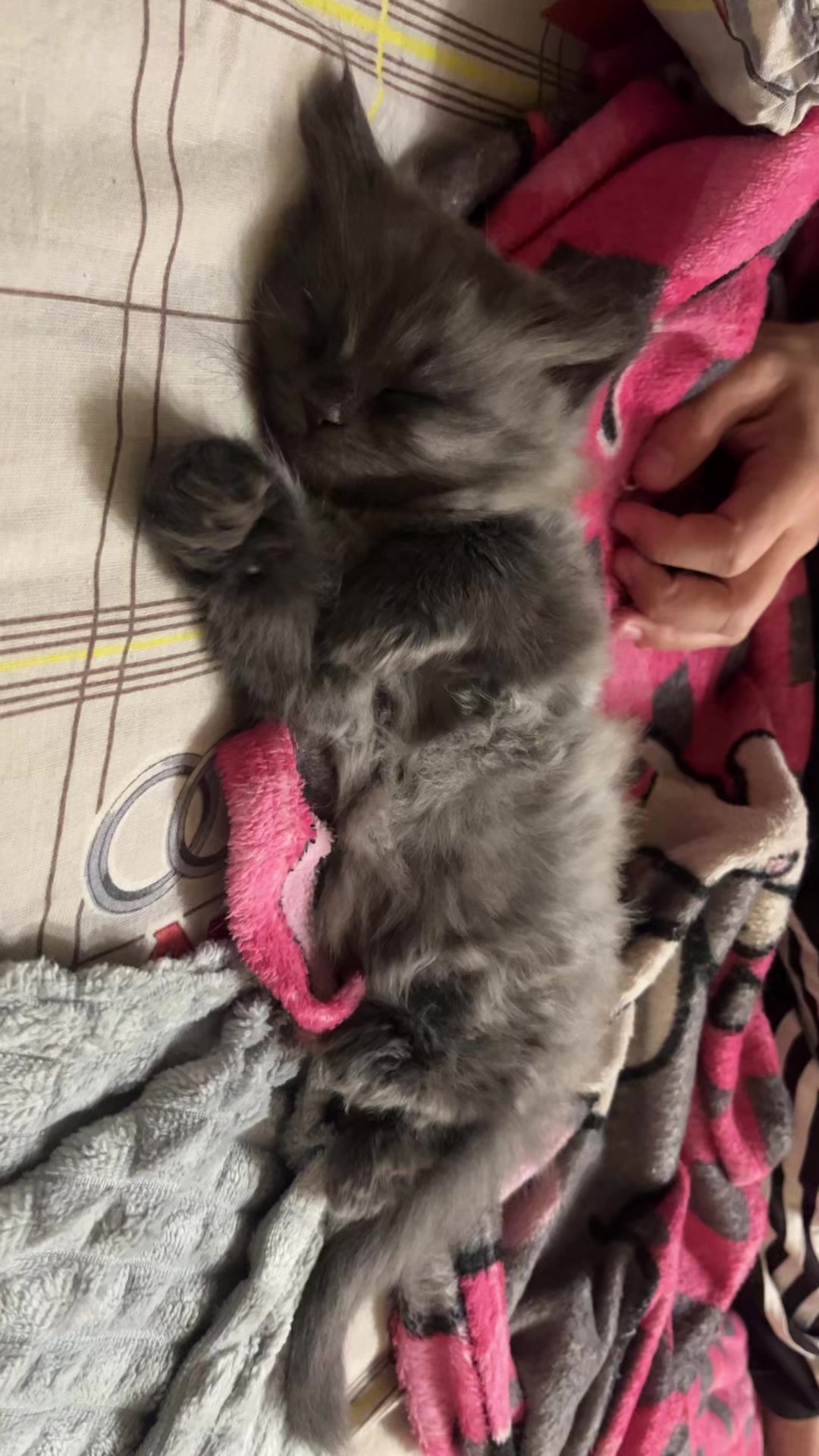 @хх