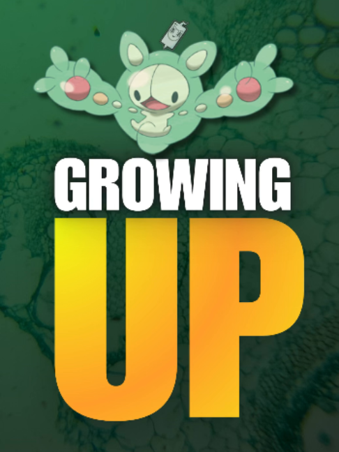 @Daily Pokemon