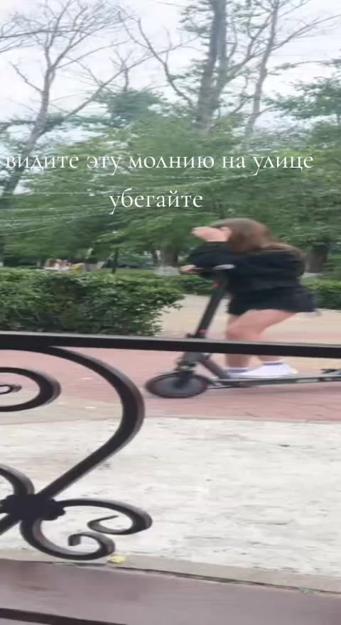 @moisej