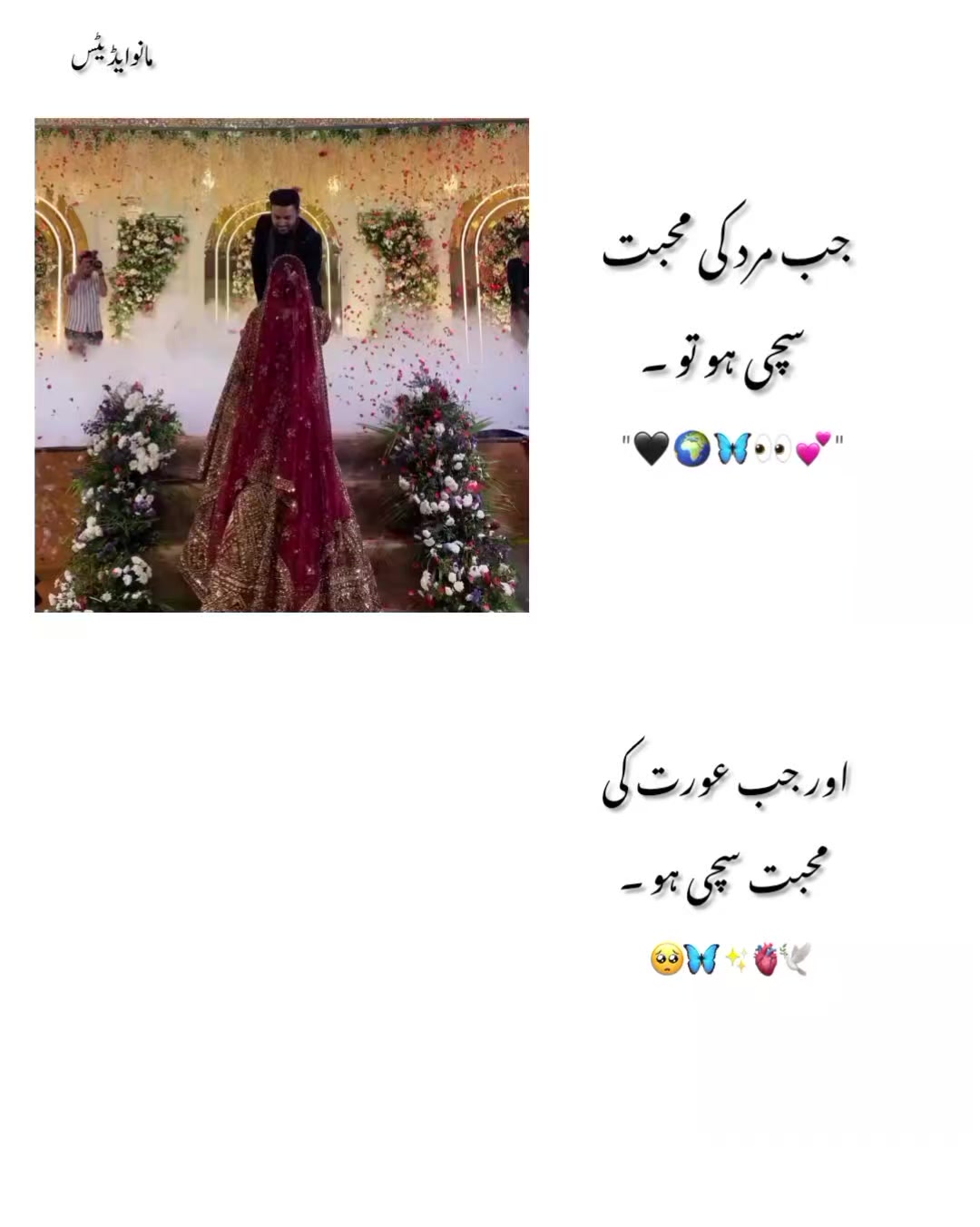 @𓆩𝐈𝐓𝐗𓆪 𝐌𝐚𝐧𝐨 ✯