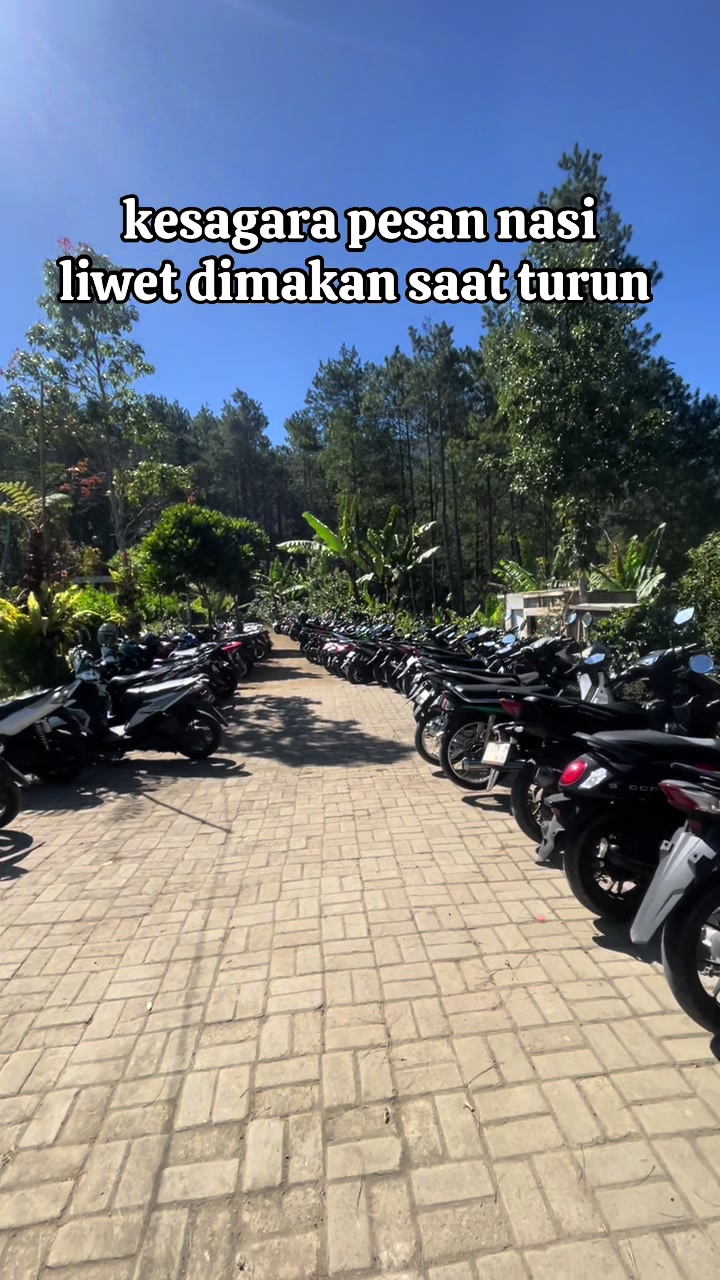 @Mt sagara