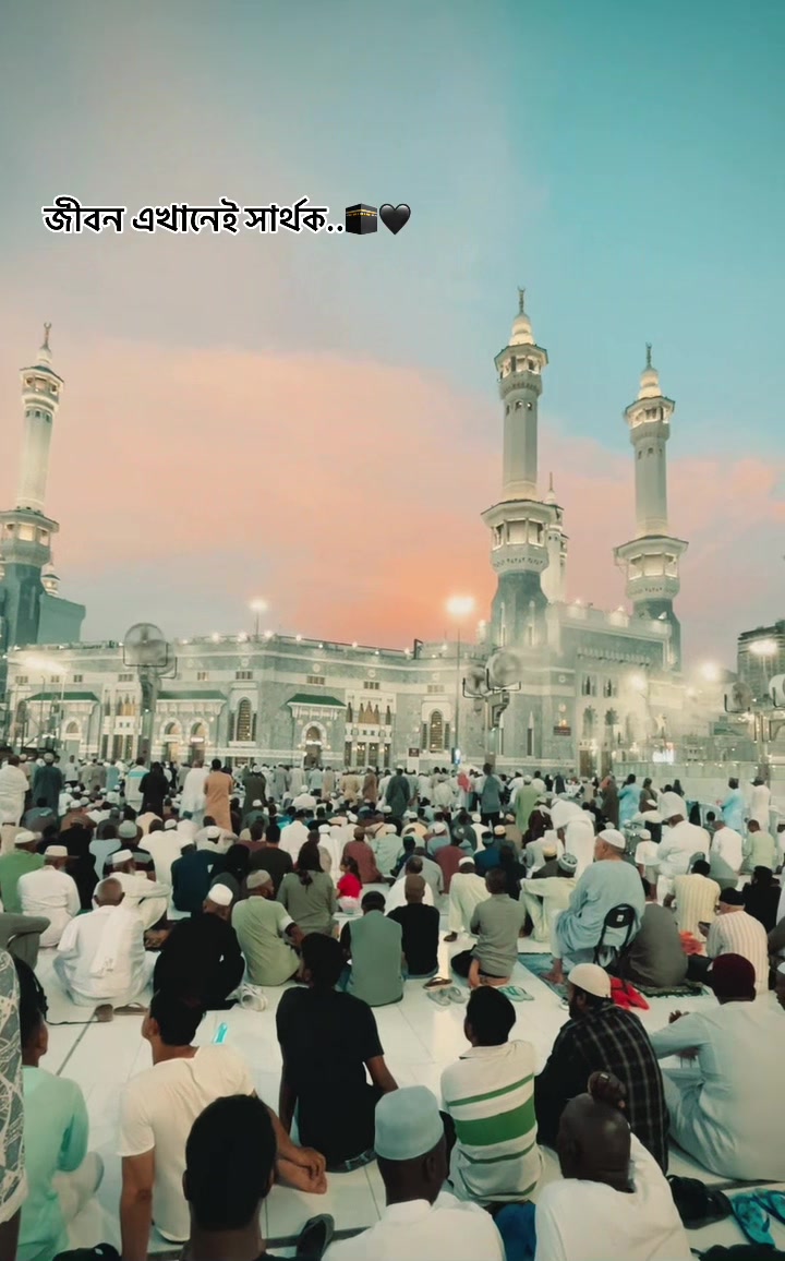 @محمد خورشید