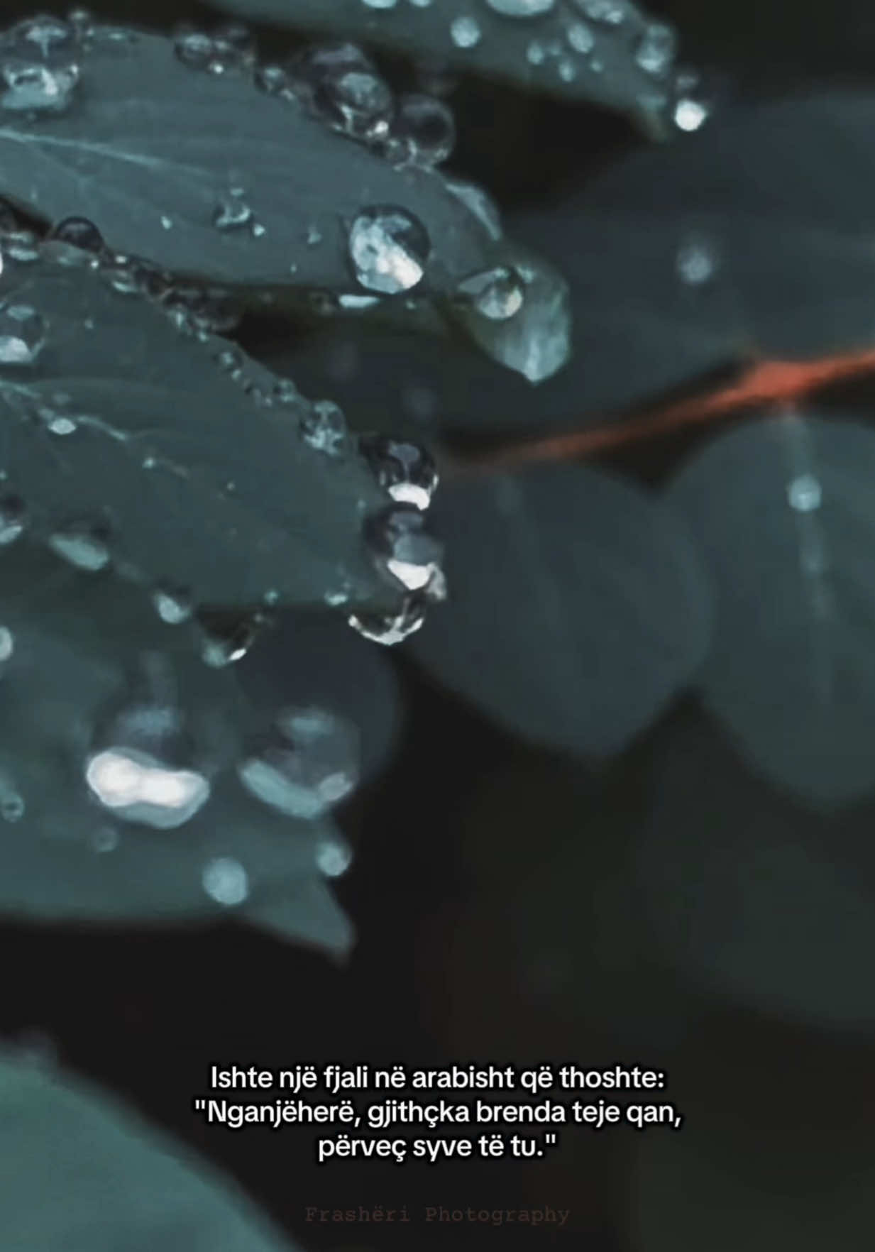 @𝐿𝓊𝓂𝑒𝓃 𝒷𝓎 𝐸𝓇𝒶𝓁𝒹𝒶