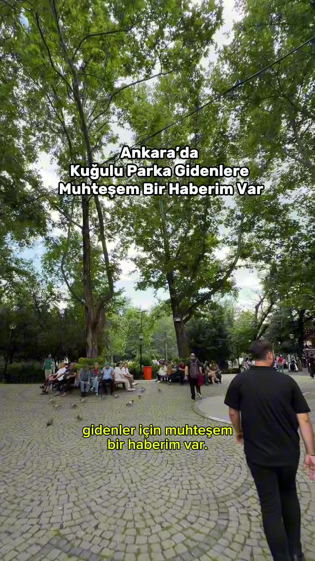 @ankarada_ne_var