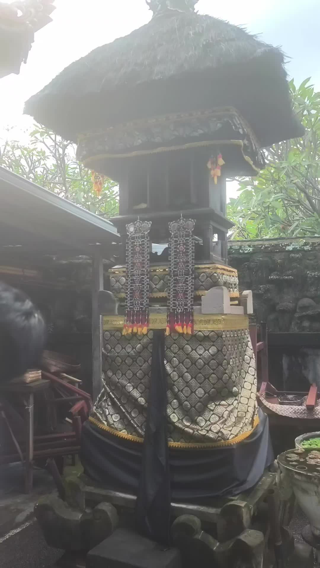 @Suamba Geni