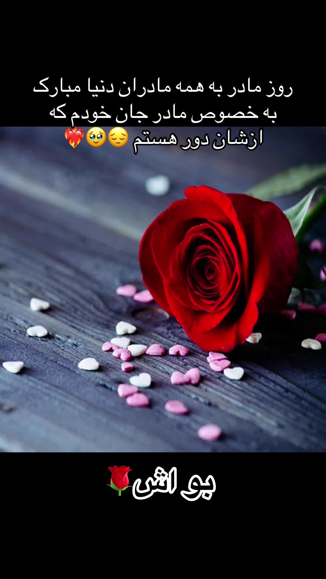 @Jannat