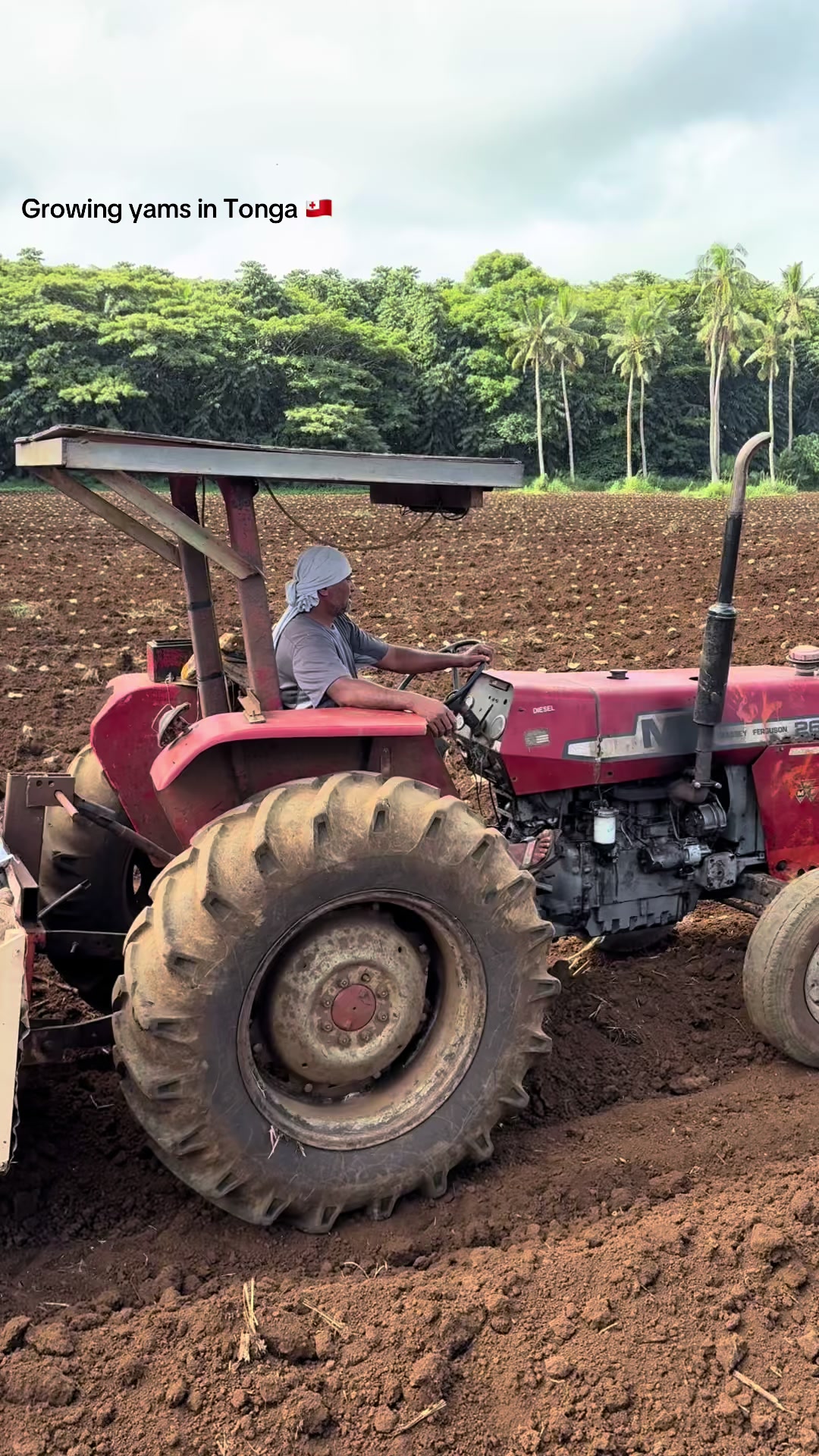 @sonithefarmkeeper
