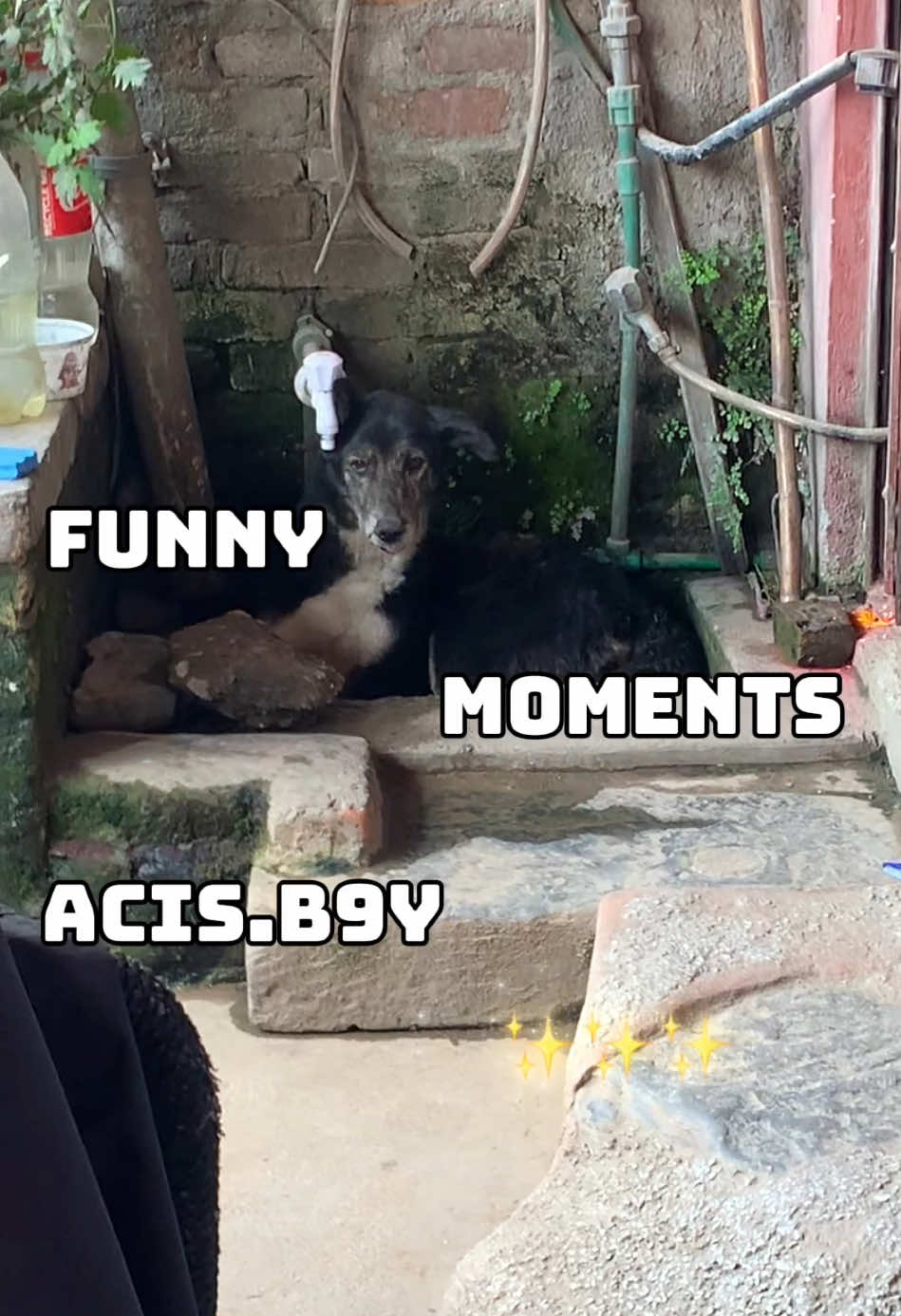 @acisb9y