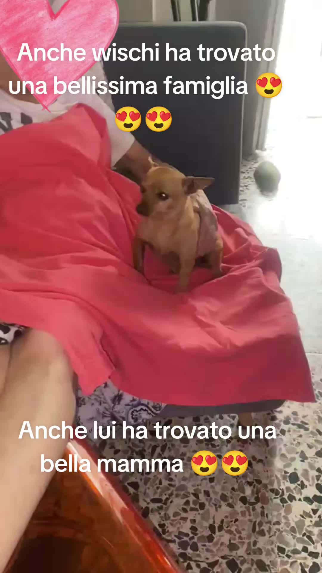 @GLI Sgomberi DI Monica paderi
