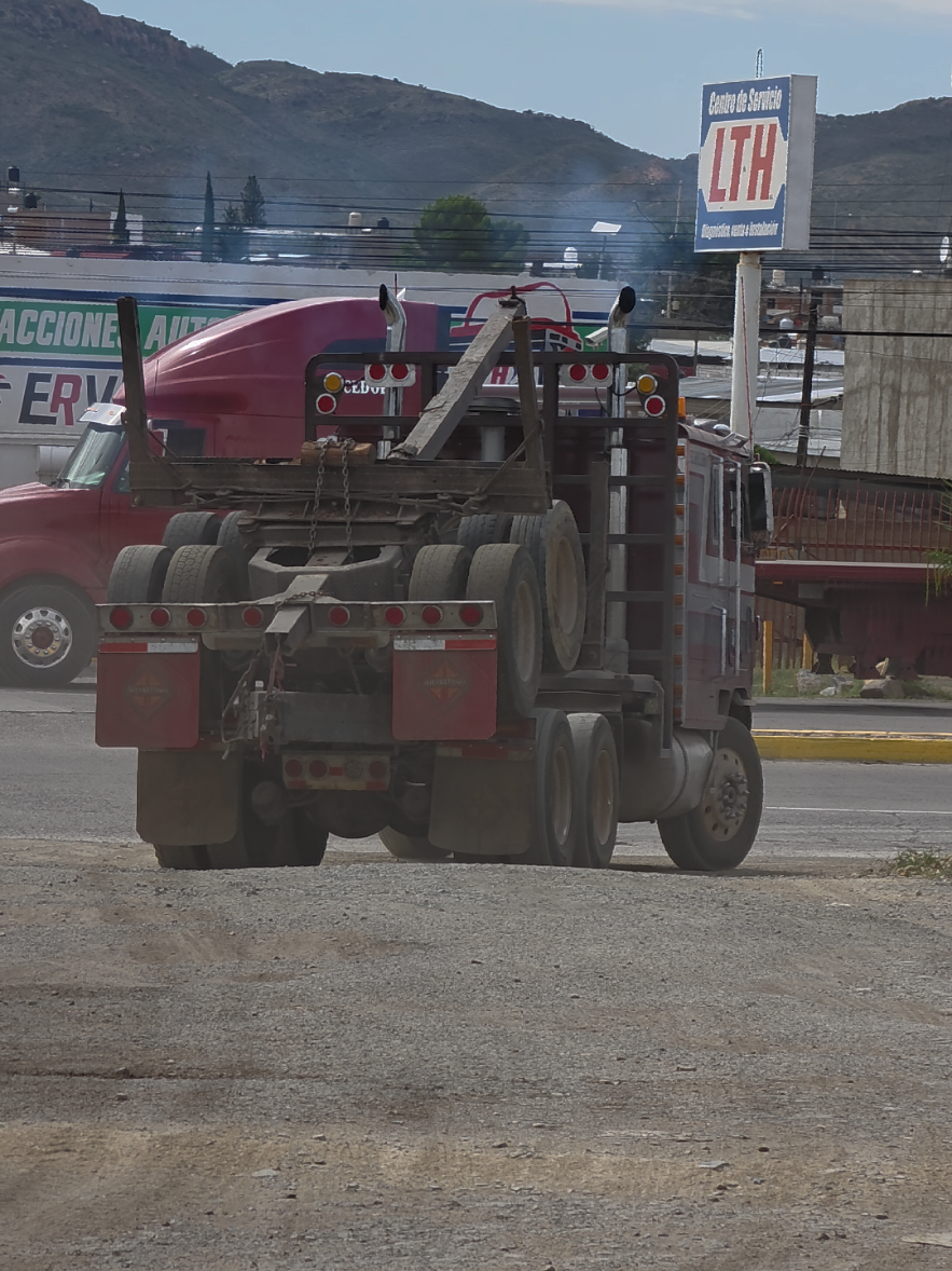@Chihuahua Trucks