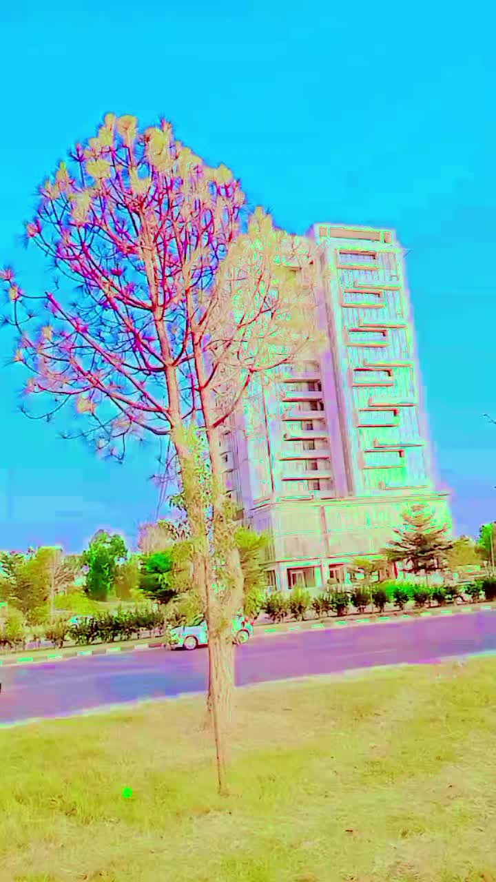 @Eid Muhammad