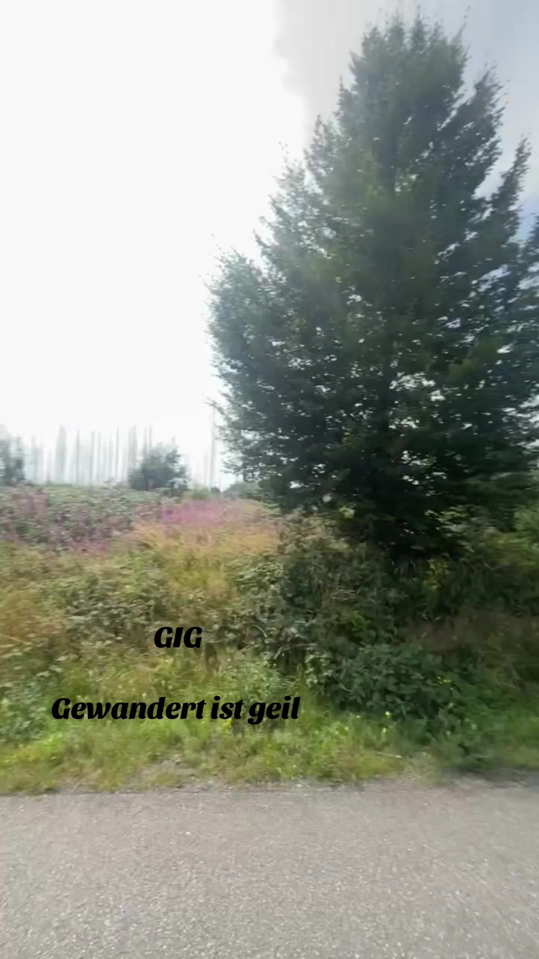 @tobi.khl🦦