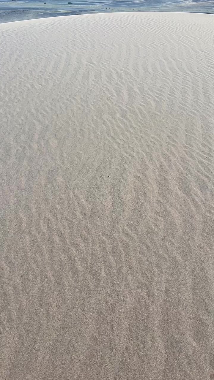 @(﮼صمت ﮼الجرو ح﮼)