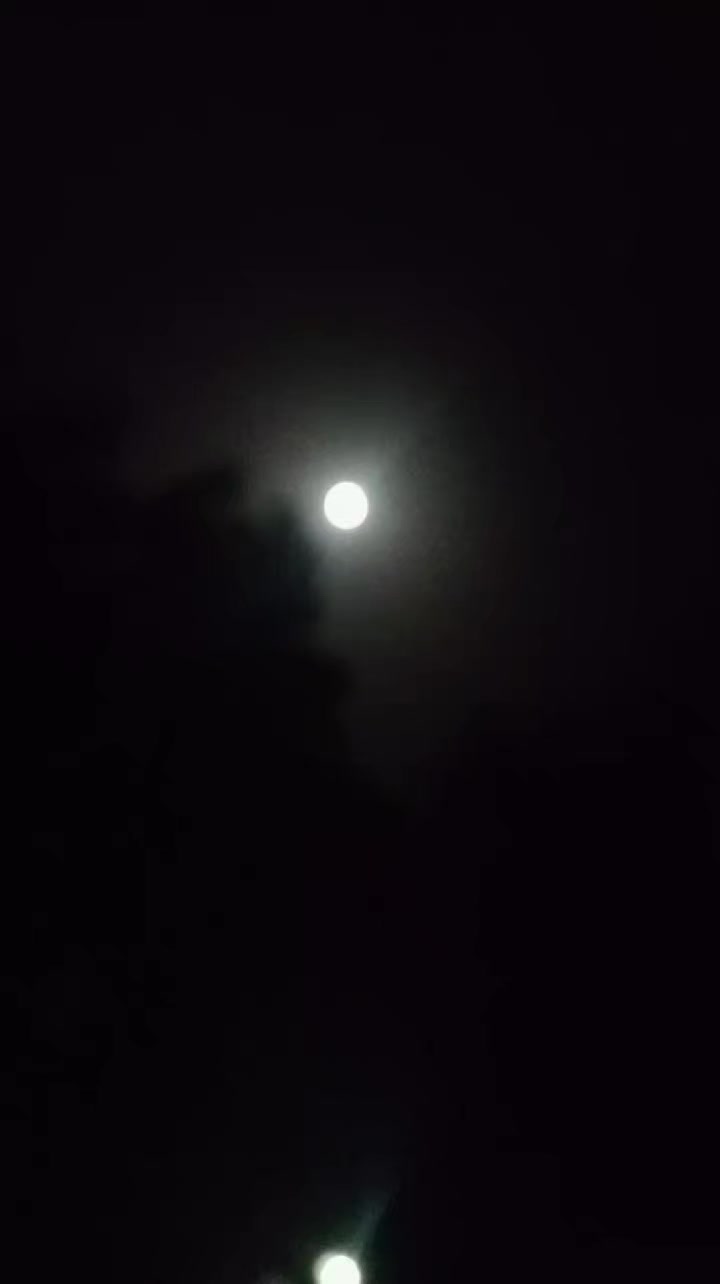 @Mehek