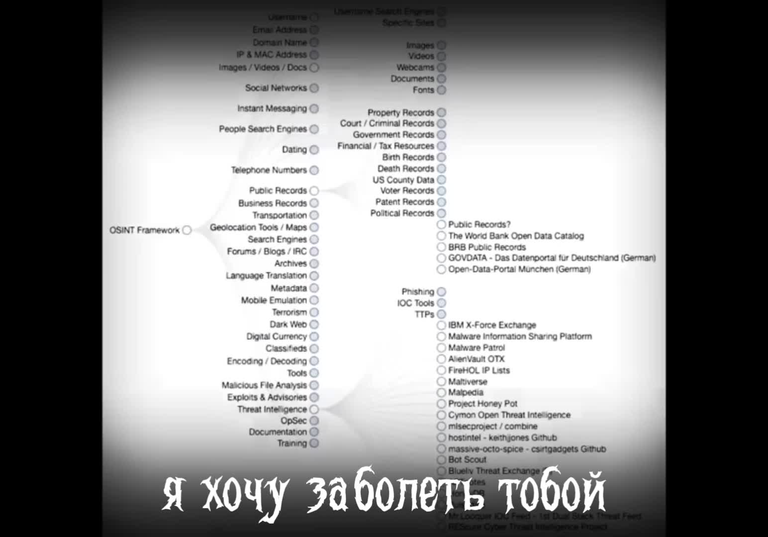 @Bovomer