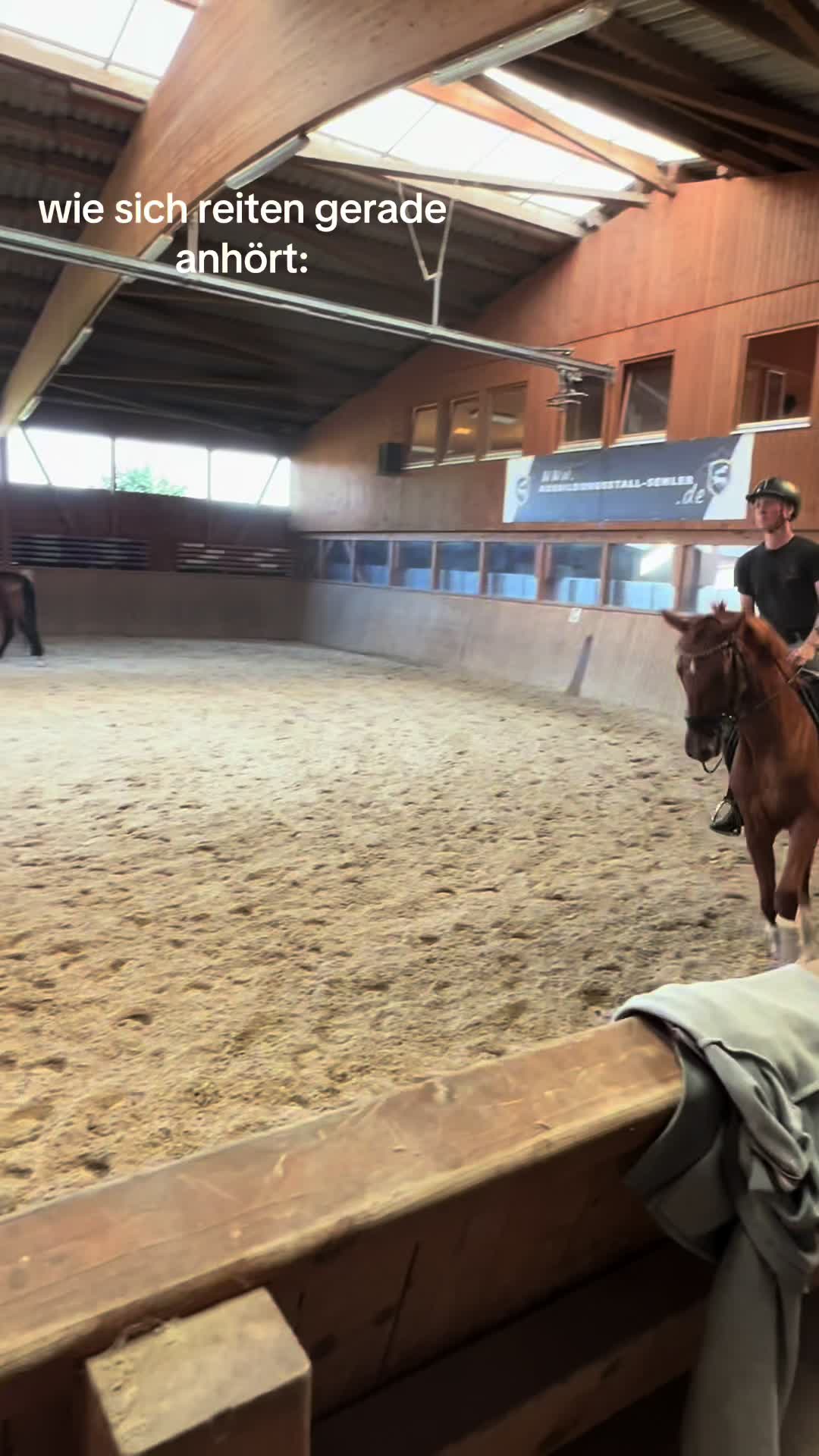 @diaryofequestrian