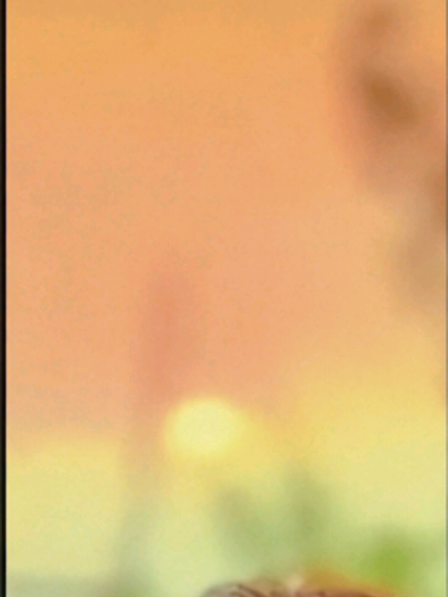 @┗⊱ 𝑹𝒆𝒉𝒂𝒏𝒐 𝒆𝒅𝒊𝒕𝒔 ⊰┛