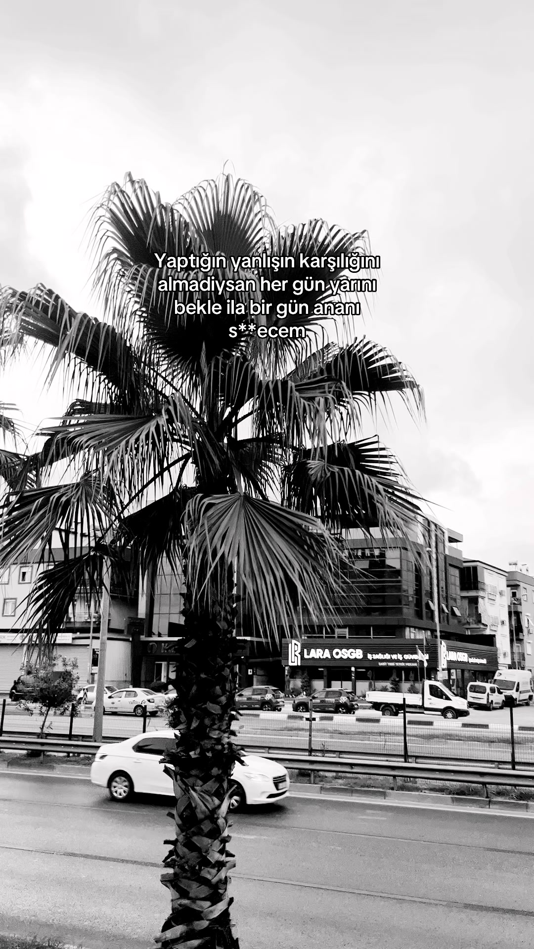@𝑬ᥫ᭡.