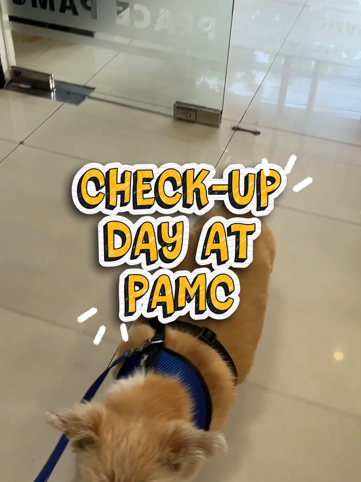 @PAMC