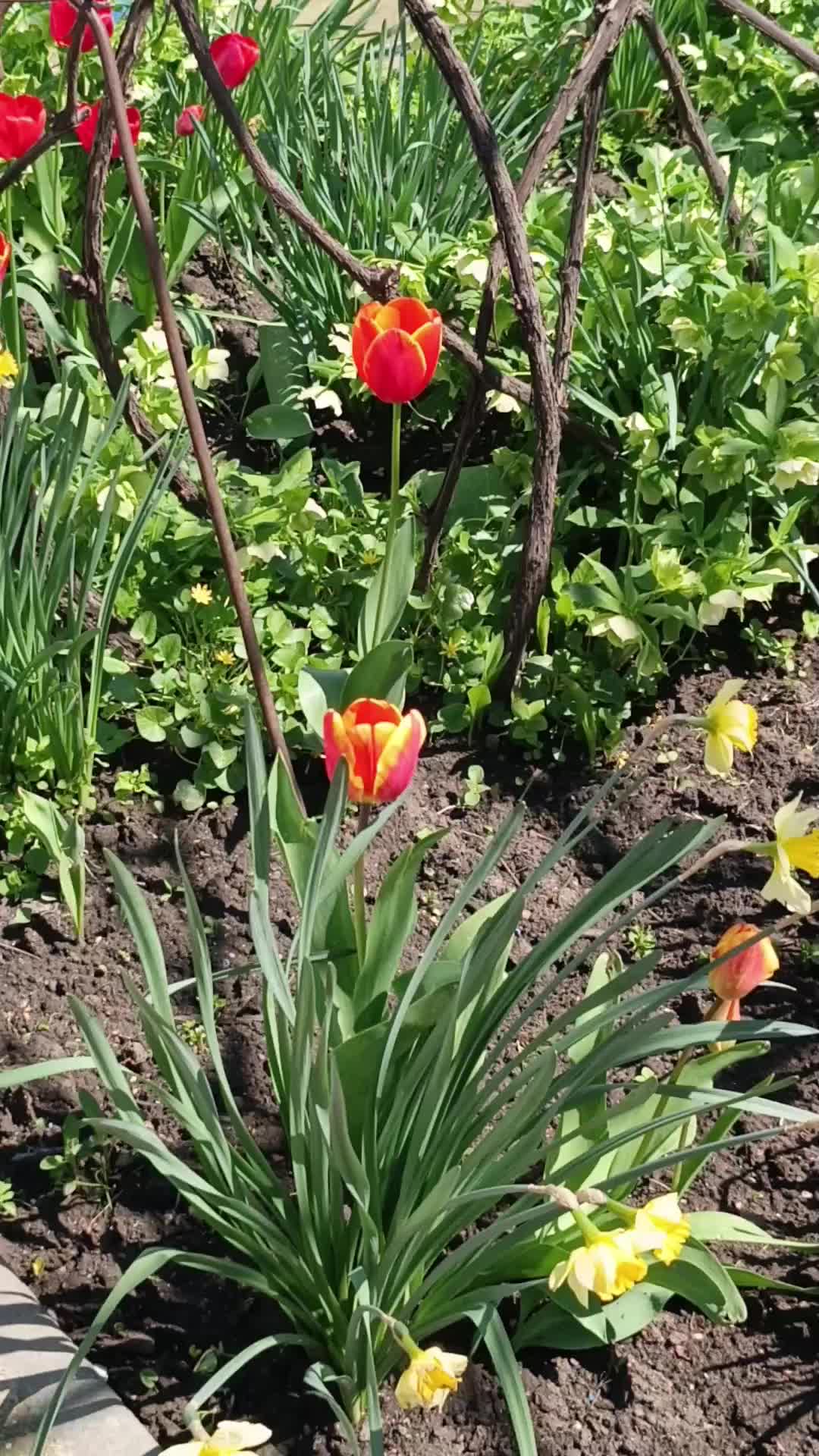 @Ольга