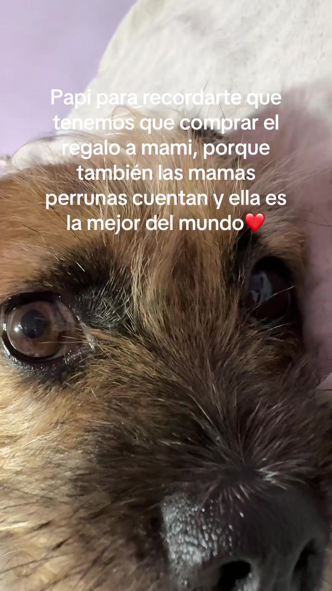 @Yael Martinez