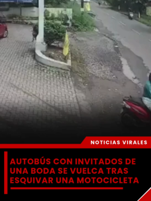 @elveedordigital