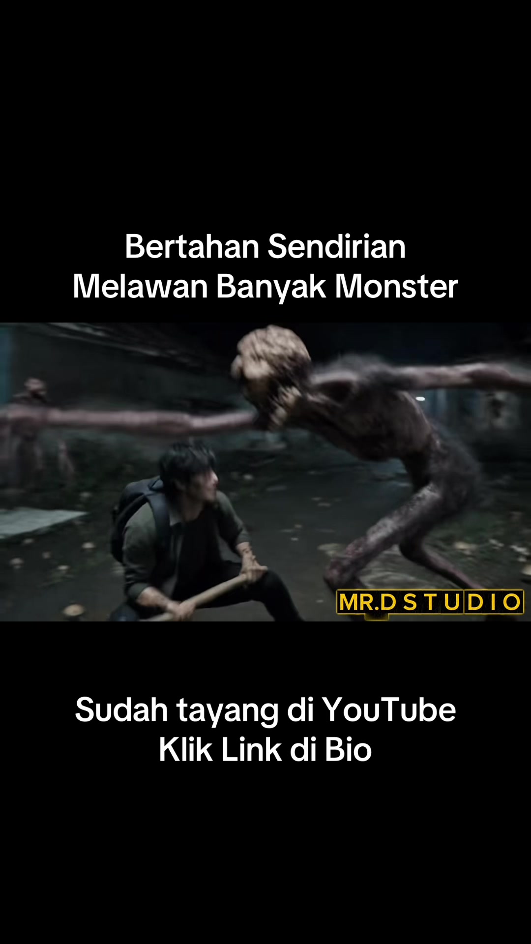 @Mr.D Studio