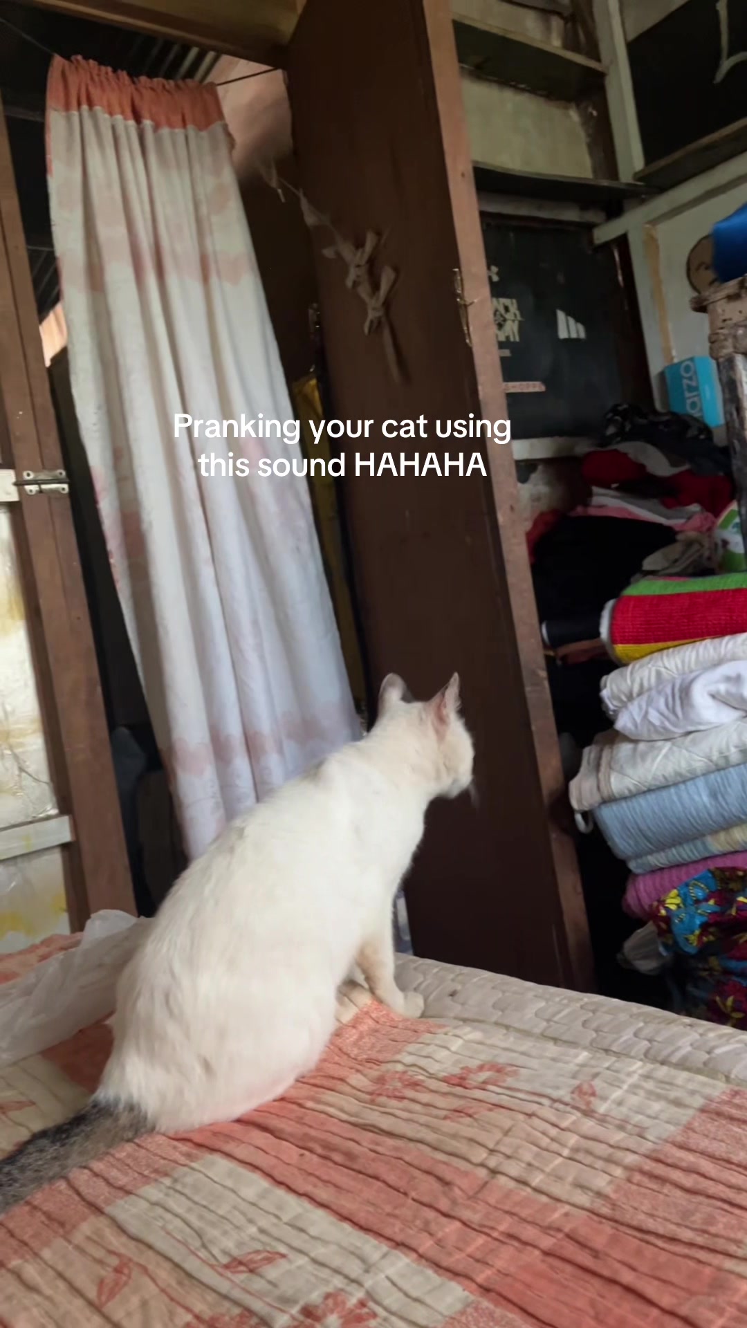 @ric0y4