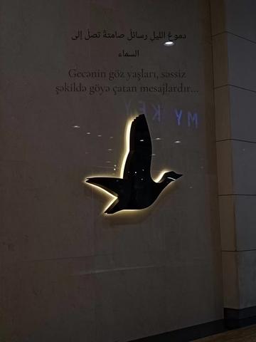 @Gulshen.A