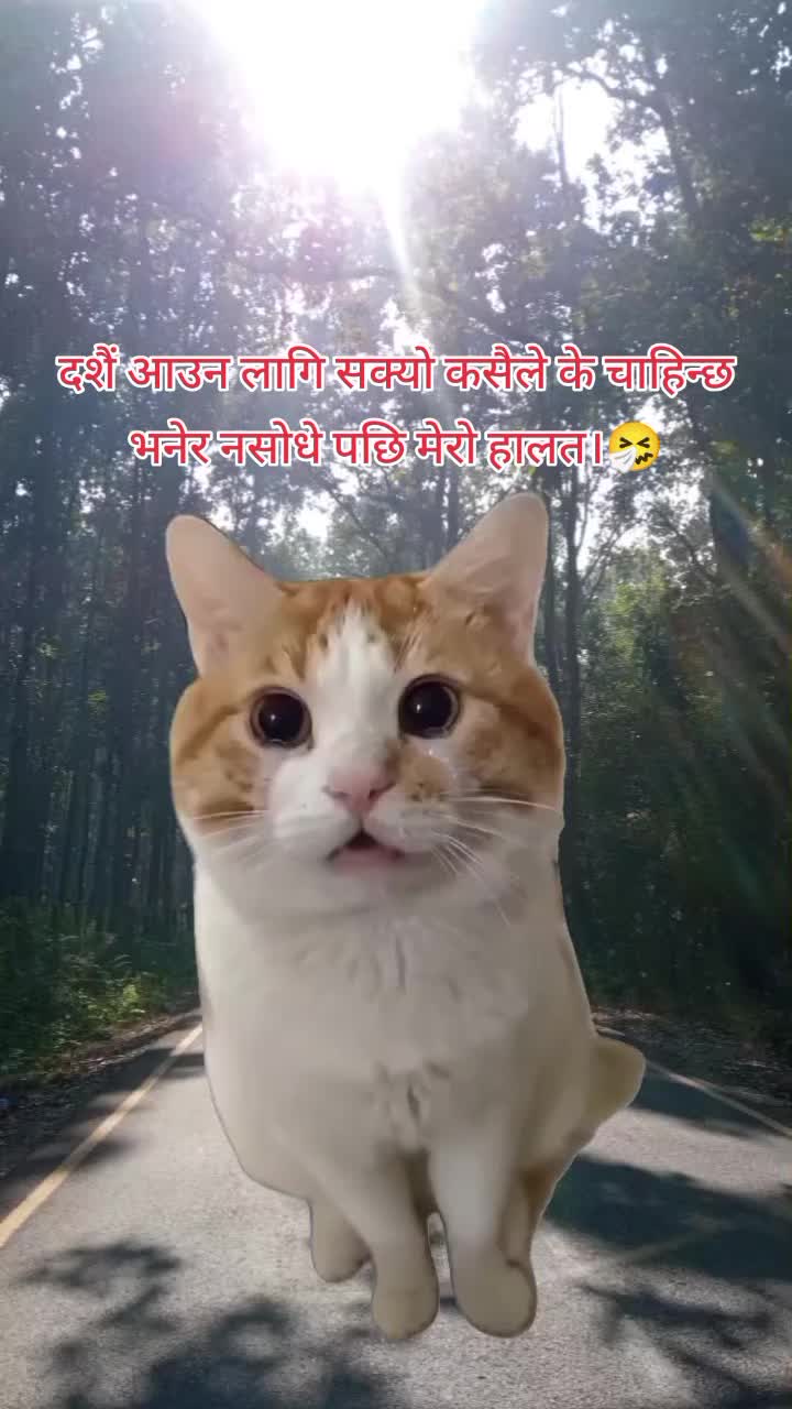 @☘️(अनु आले मगर)🦋