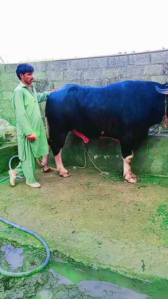 @ASAD Sarkar123
